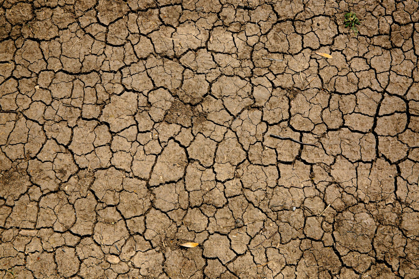 Cracked dry ground, a symbol of global warming